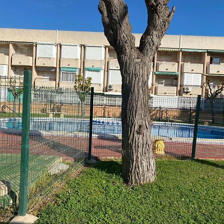 Apartamento Mil Palmeras 皮拉尔－德拉奥拉达达 外观 照片